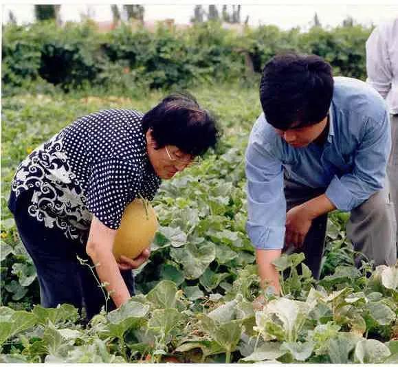 伊月在线吃瓜,揭秘娱乐圈幕后故事  第3张