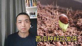 电梯情侣吵架吃瓜,吃瓜群众现场直播  第2张