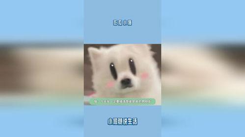 小猫吃瓜故事  第1张