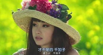 路人吃瓜视频全集,揭秘娱乐圈幕后真相  第2张