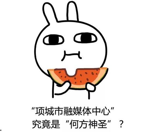 吃瓜演示,吃瓜群众视角下的娱乐圈风云录  第1张