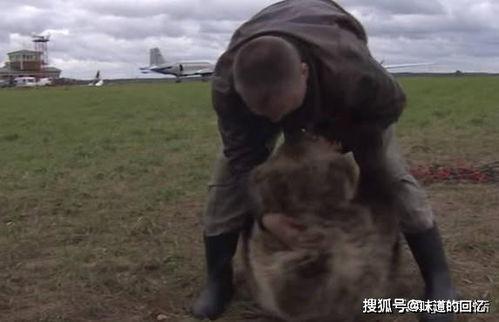 吃瓜吃一半被拉走,揭秘吃瓜背后的故事  第3张