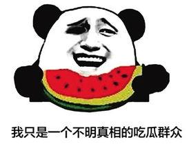 吃瓜专业术语,一网打尽瓜圈黑话  第2张