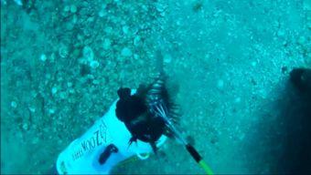 吃货吃瓜小视频,吃货们的美食盛宴  第2张