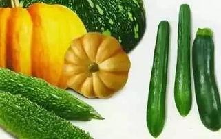 小唐吃瓜后续,揭秘娱乐圈背后的秘密与真相  第2张