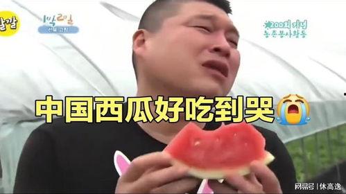 吃瓜吃到流泪,那些让人泪目的吃瓜瞬间  第1张