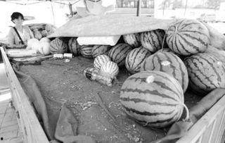 凌晨吃瓜,揭秘娱乐圈那些不为人知的秘密  第1张