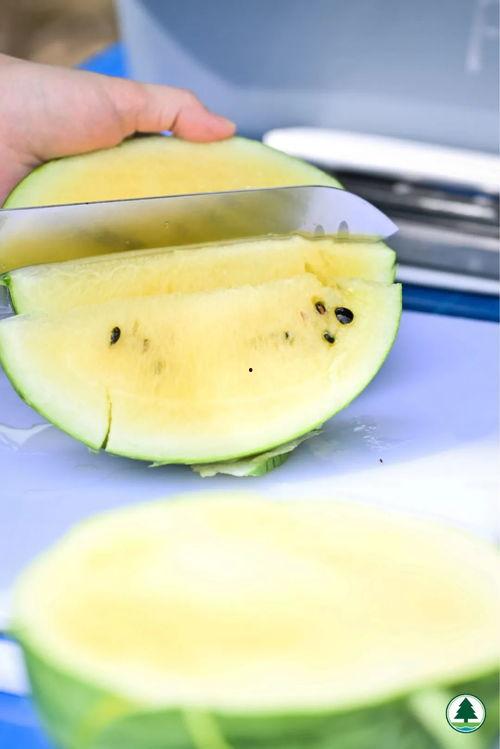 贴吧吃的瓜,那些让人垂涎欲滴的美食瓜  第1张